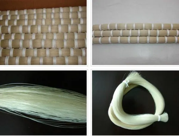 Hebei Zhichen Trading Co., Ltd. company overview - view 1