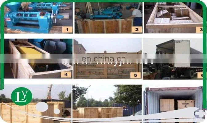hydraulic olive oil press machine, palm oil press machine ship to Surabaya