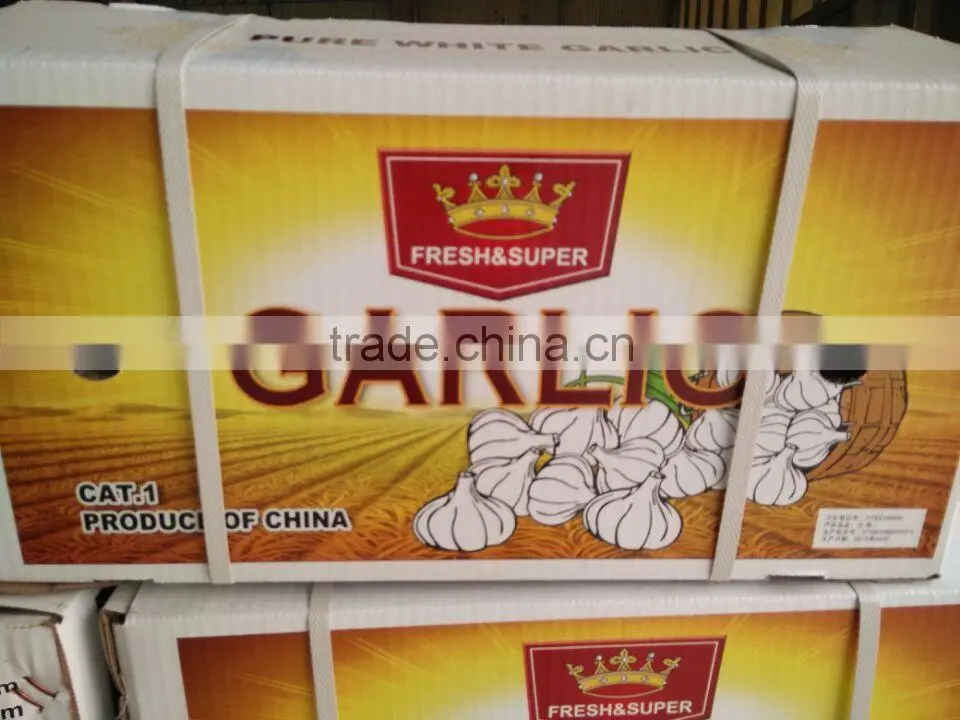 5.0cm fresh normal white garlic for sale