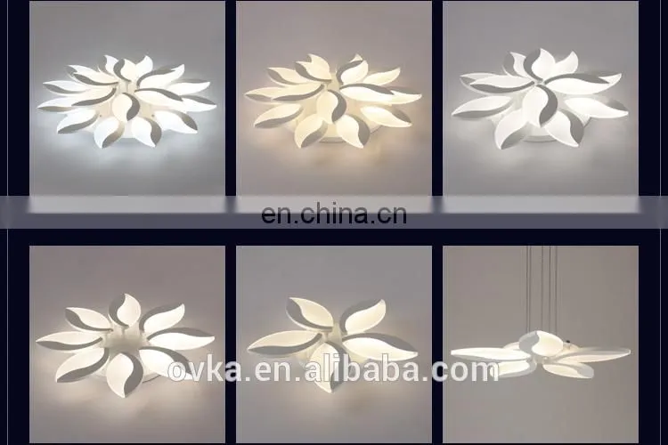 Modern simple high quality led ceiling light for living room