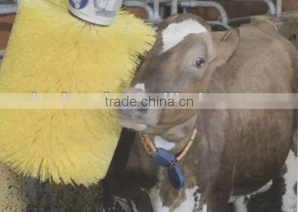 Massage Brush For cow