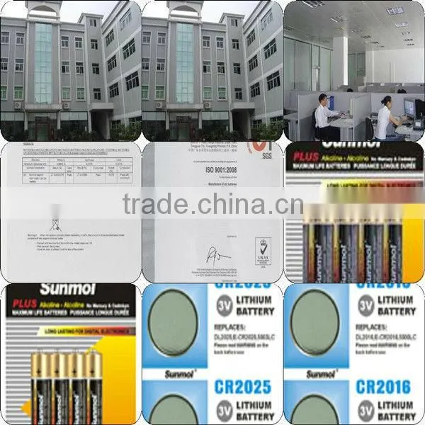1.5V R03 AAA Battery Made In China