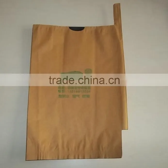 Mango fruit growing paper bag
