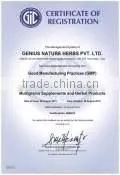 Organic Moringa leaf powder Bulk Producers