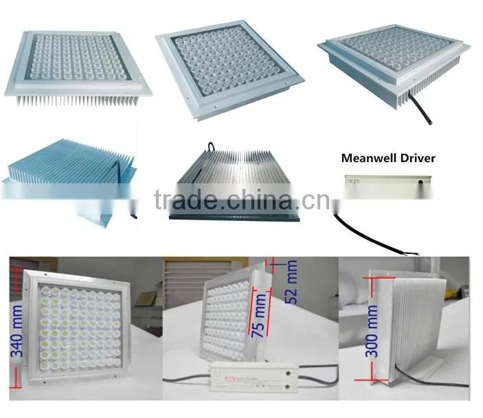 Outdoor Gas Station Lighting 80w Canopy Led IP65 outdoor canopy light