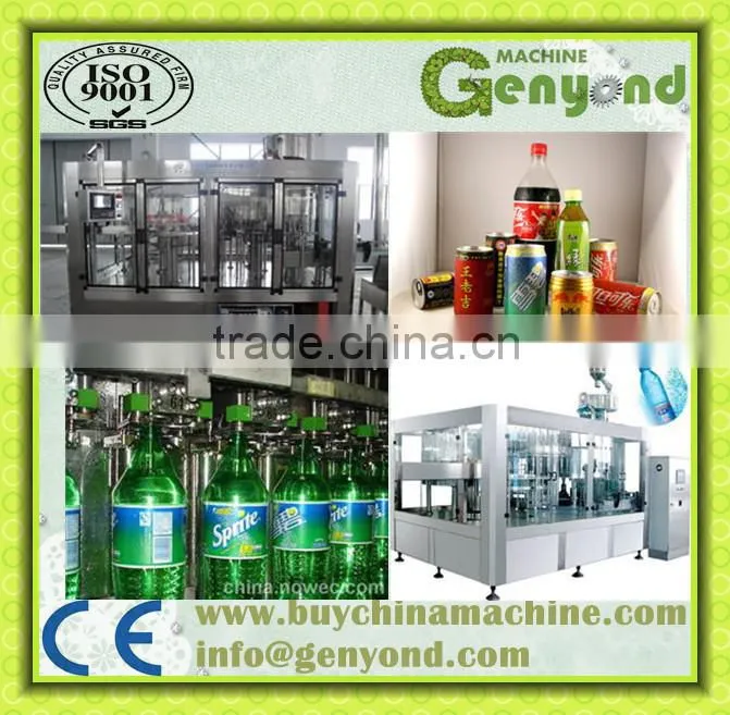 Complete Fruit Juice Production Line with factory price
