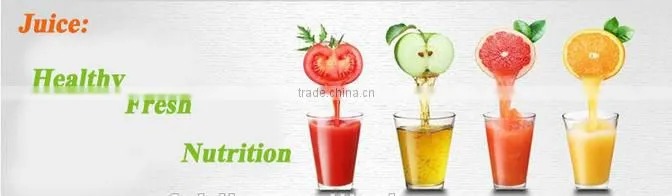 2016 hot sell new products mini juicers mini Fruit Sports Juicer Blender Personal Mini Juicer