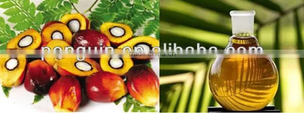 oil factory equipments for palm oil/oil making machinery/palm oil refining