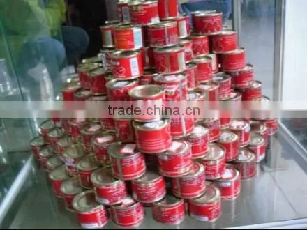 HOT SELL ! 70G-3KG canned tomato paste with brix28~30%,18~20%,22~24%