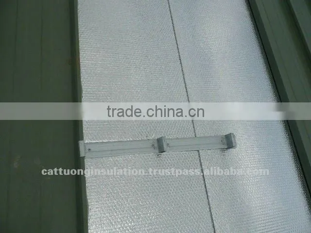 Air- Metallic bubble Express Mailers