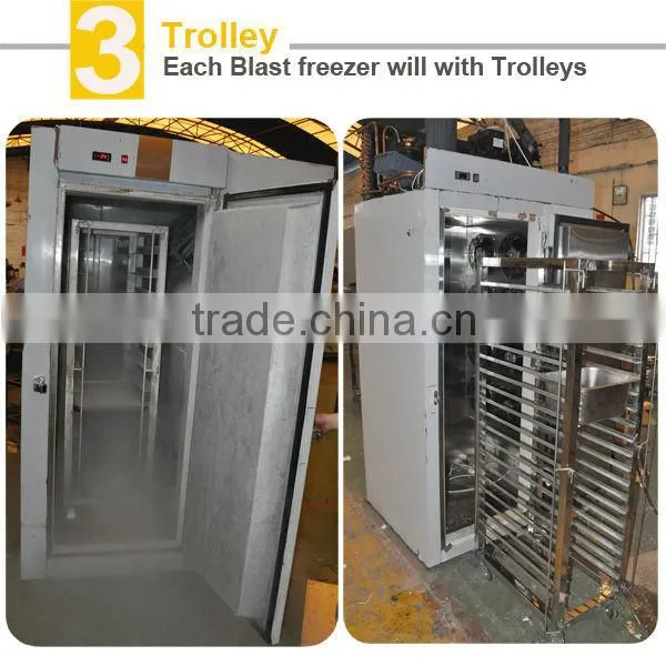 blast freezer to freezer French fries in 2 hours