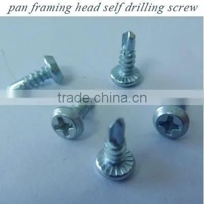 1"--6" polishing flad head iron nail (factory)