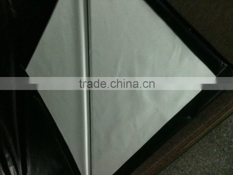 5meter wide 3D cinema screen