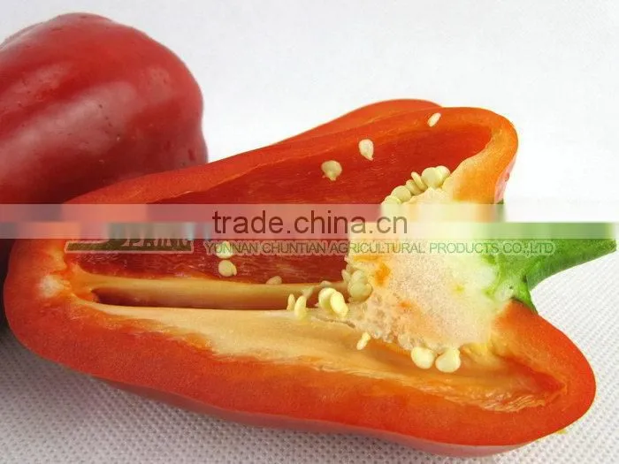 orange red capsicum yellow capsicum
