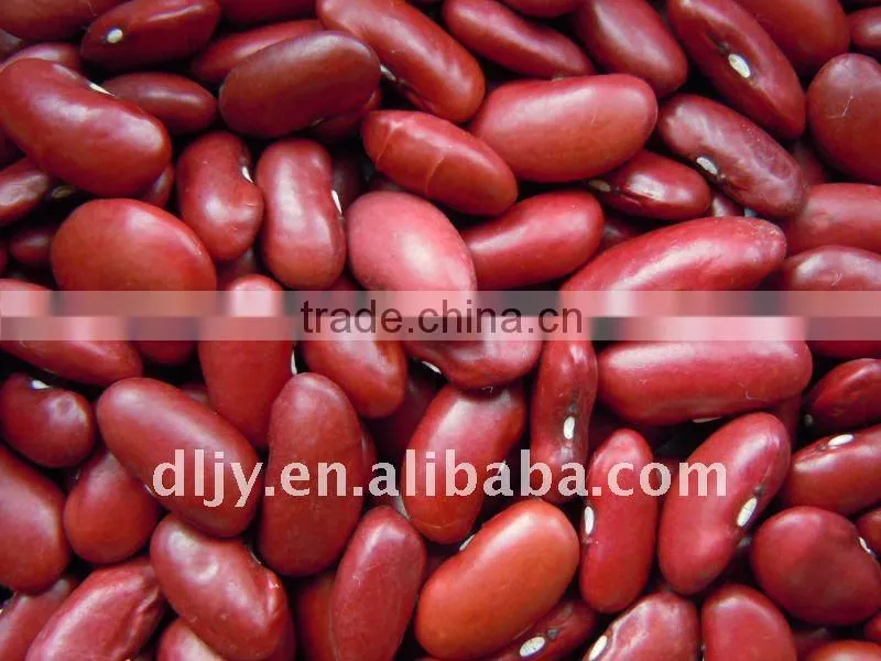 Dark Red Kidney Beans