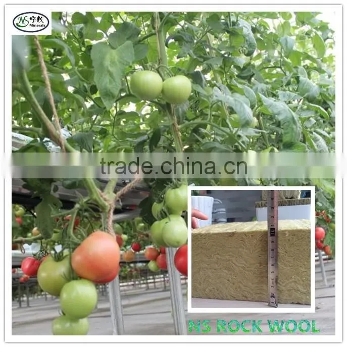 hydroponics rockwool cubes | rockwool growing medium
