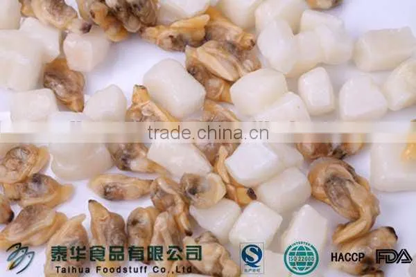Frozen fresh new produced U5 squid tube