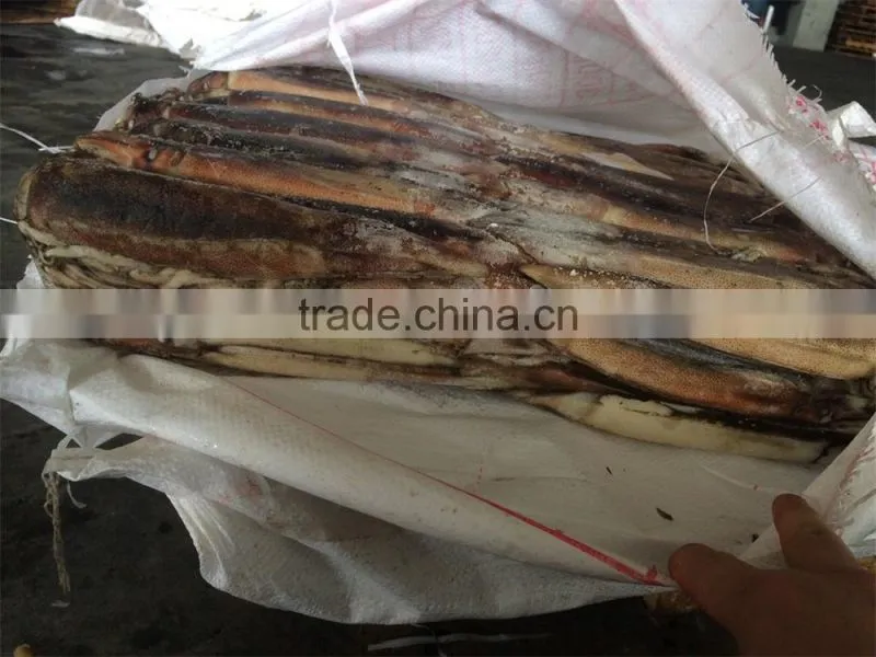 Frozen illex squid