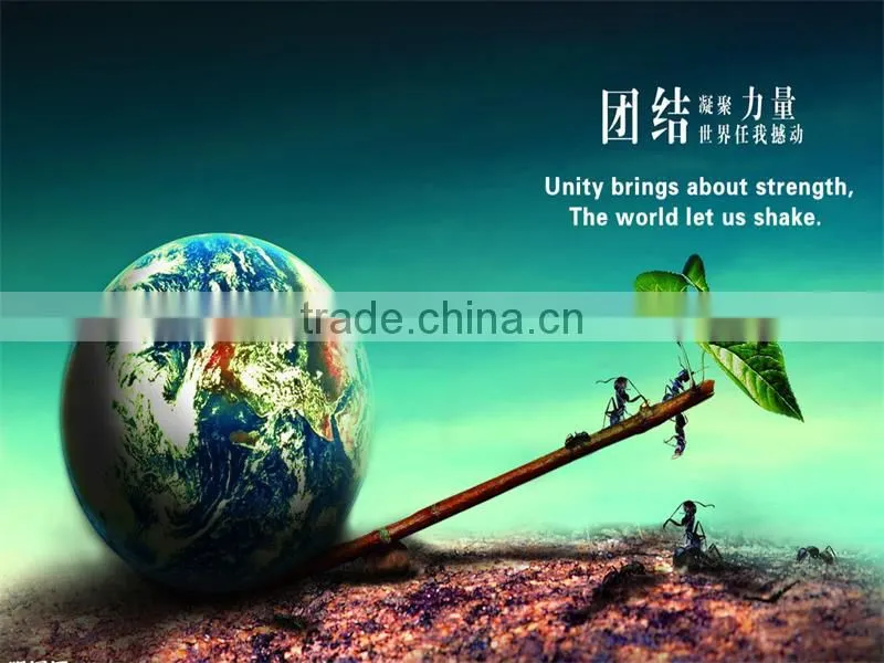 Taian Fengni Industrial & Trade Co., Ltd. company overview - view 3