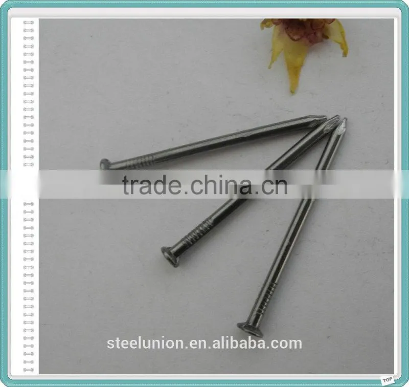 Polished Common Wire Iron Nail from China