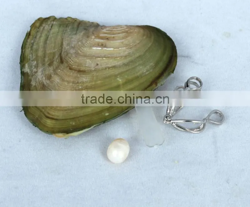 Wish pearl and love pearl gift jewelry (beige) English version