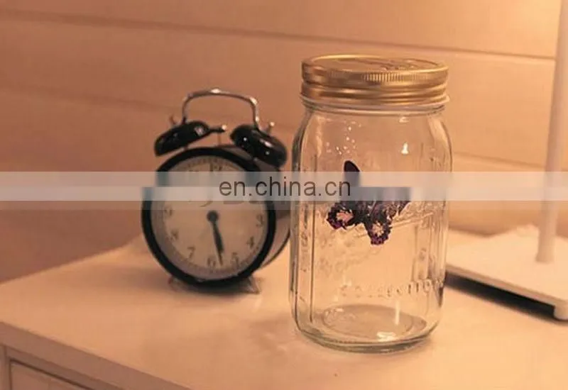Factory Direct Sell Popular Attractive Butterfly Glass Jars
