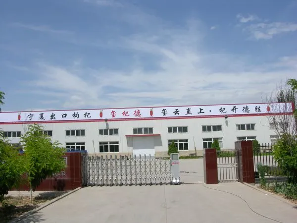 Ningxia Huamei Water Treatment Equipment Co., Ltd company overview - view 1