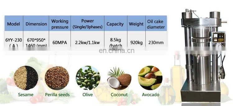 Small coconut oil extraction machine