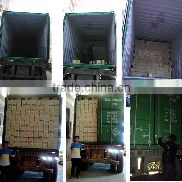 MC/ML/MY Series Single-phase Capacitor Start Asynchronous Two Capacitor Motor