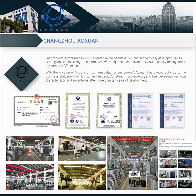Changzhou Aoxuan Heavy Bearing Co.,LTD. company overview - view 2