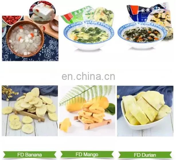 fruit chips Vacuum Freeze Drying Machine