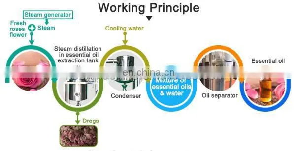 Stainless Steel SS304 essential oil extraction distiller equipment essential oil making machine