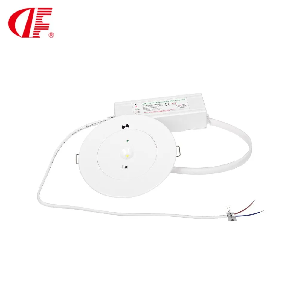 led emergency downlight (5)