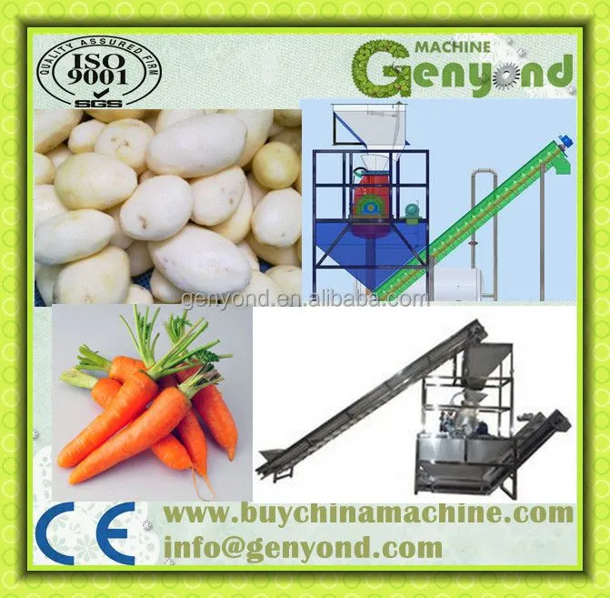 Factory Genyond Sweet Potato/ Onion/walnut/ Carrot Brush Washer Washing Machine Peeling Cleaning Machine