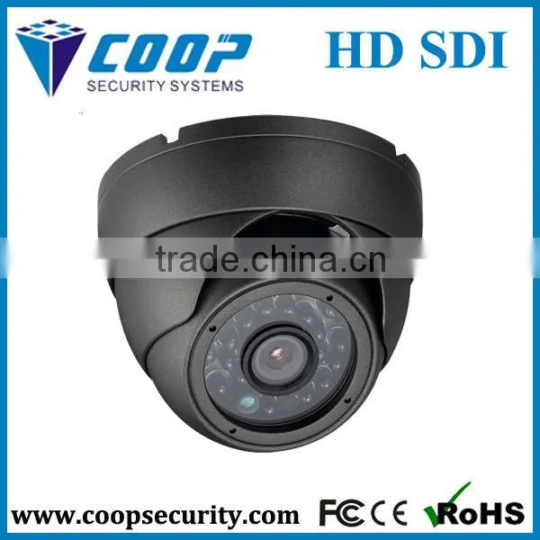 1/3" Panasonic CMOS 2.0MP 1080P HD-SDI 36-LED 20m Vandal IR Dome Camera True WDR