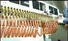 electric Sausage filler Vacuum Filler
