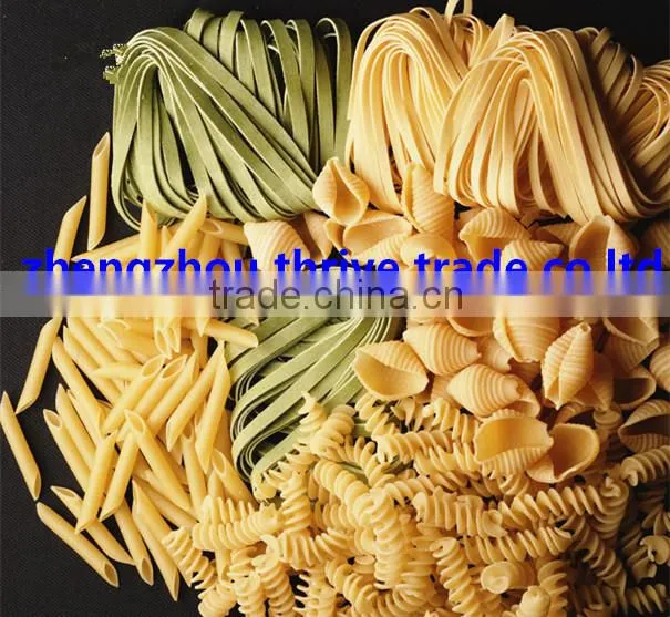 Professional electric pasta maker,cheap pasta making equipment