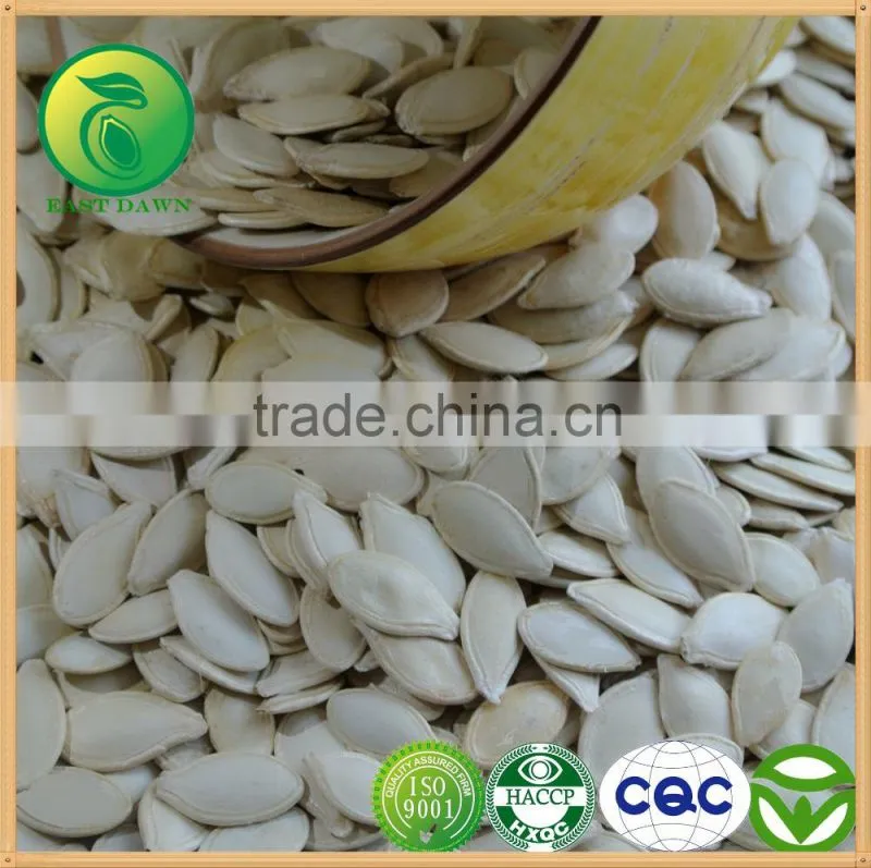 Chinese Cheap Sunflower Seeds For Sale