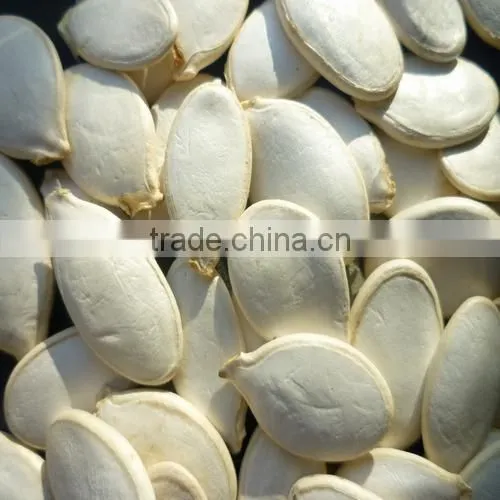 Chinese Snow White Pumpkin Seeds, Dried Pumpkin Seeds