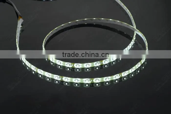 Hot sale! Waterproof 12V/24V 5000K 5050 SMD LED Strip Light