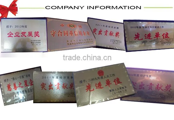 Bed slats LVL Pine / Birch wood logs Hardwood Popular Shandong