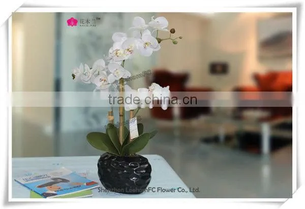 plastic flower orchid preserved flower