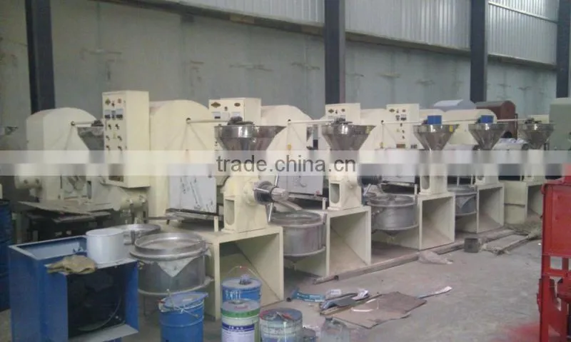 6YL-120 peanut oil extraction machine