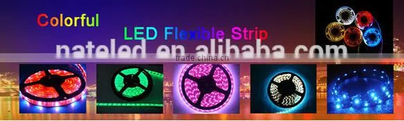 Car Led Auto Bulb Led Strip 5050 Decoration Lighting Outdoor Lighting