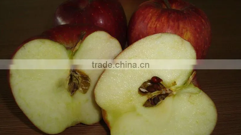 fresh apple