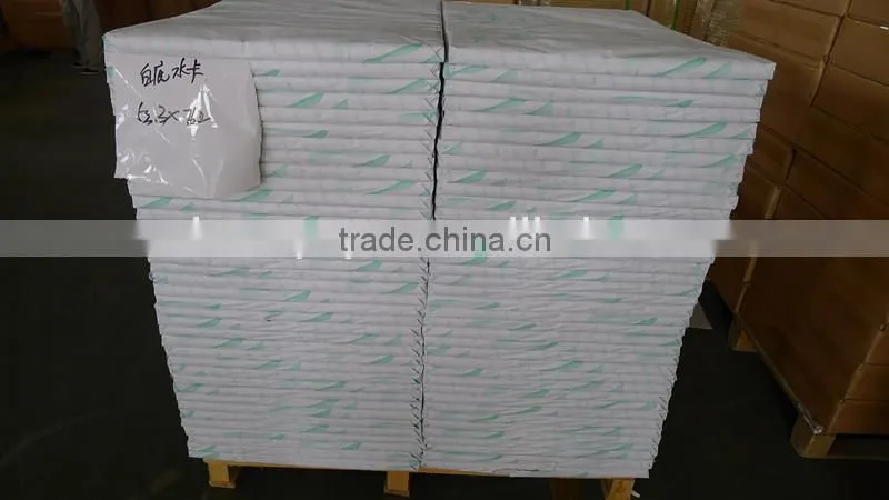 PE COATED PAPER
