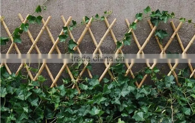 Bamboo poles and Bamboo bent pole
