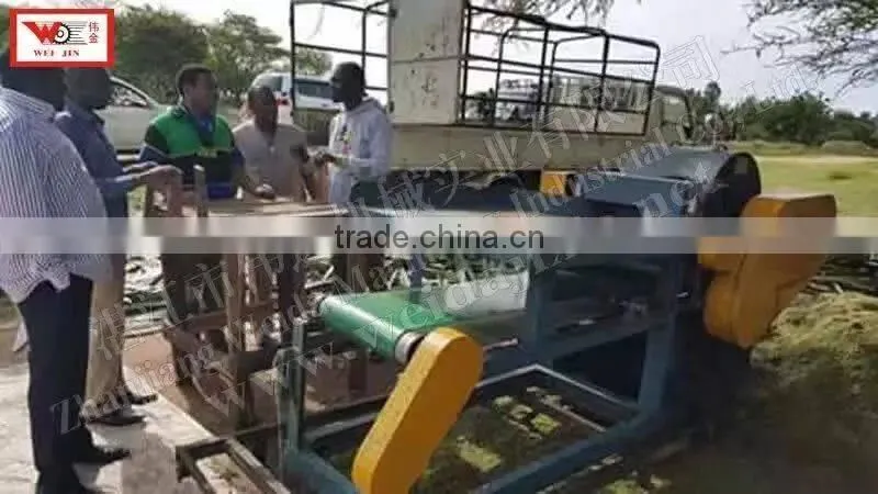 ZGM-4402 Sisal Fiber Extractor Machine 2t/h In Kenya