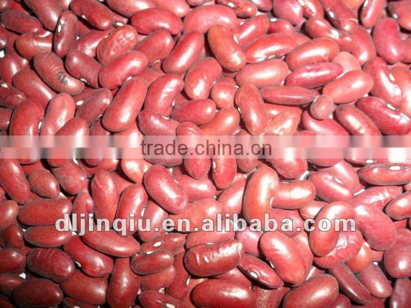 dark red kidney bean 2012 crop