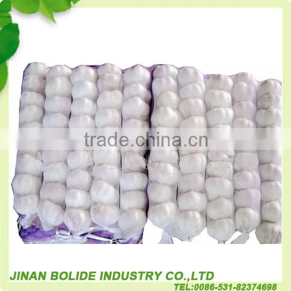 chinese natural garlic supplier